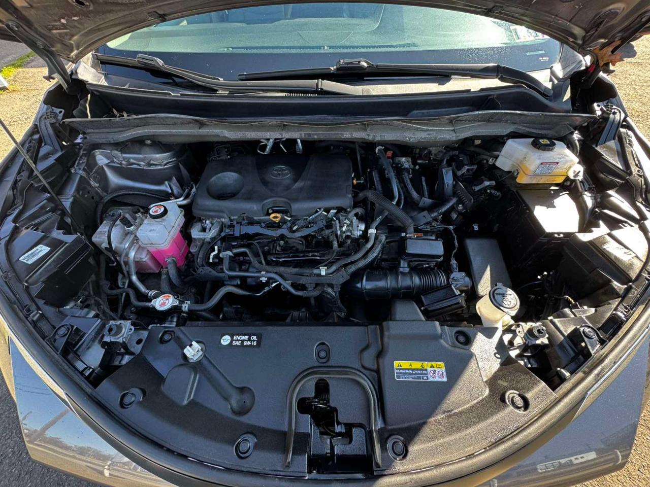 Toyota Sienna XLE FWD 7-Passenger (Natl) 2022