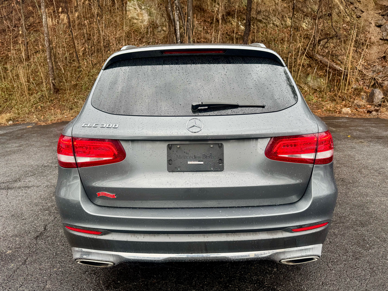 Mercedes-Benz GLC-Class GLC300 2017