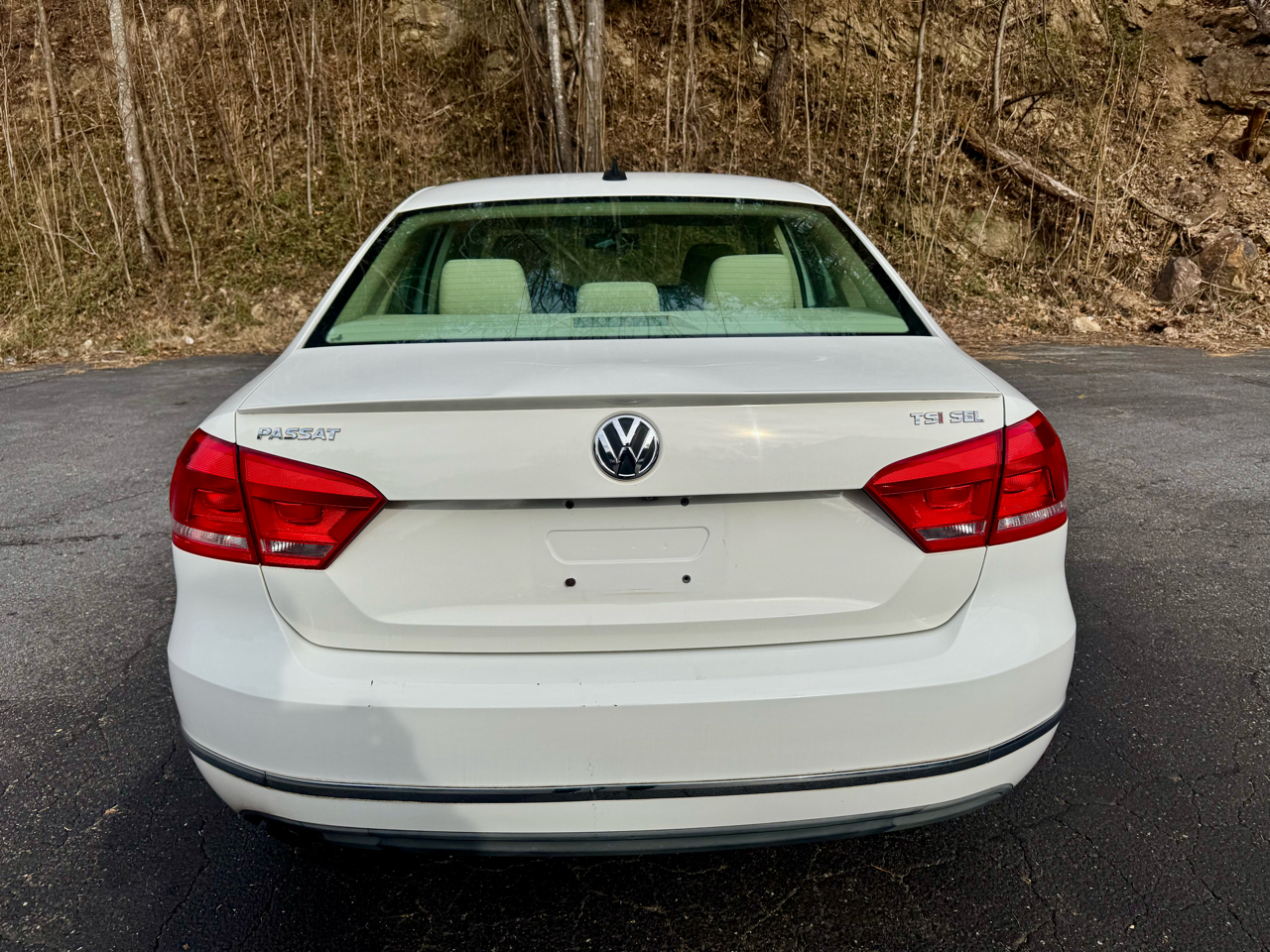 Volkswagen Passat 1.8T SEL Premium AT PZEV 2014