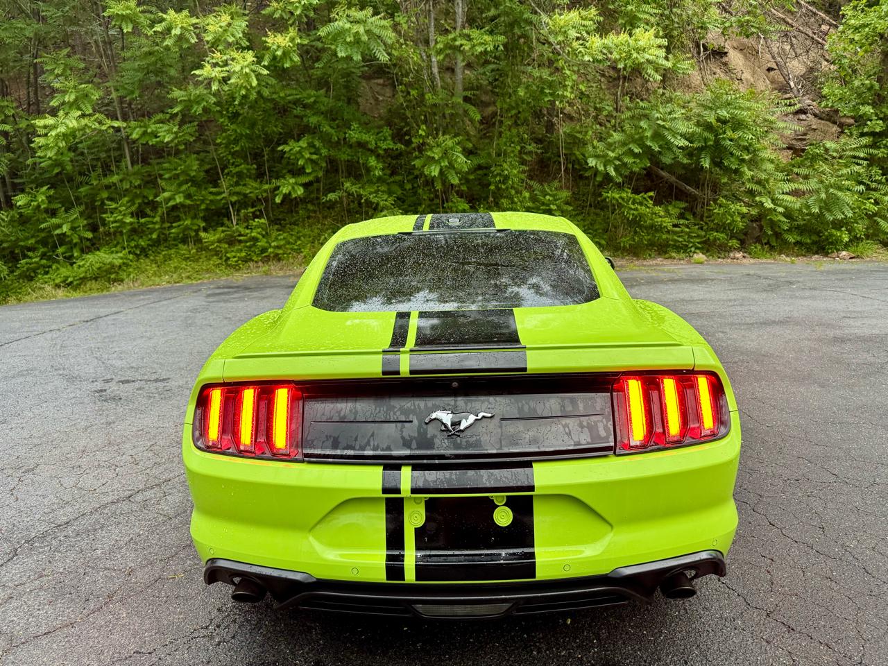 Ford Mustang EcoBoost Coupe 2020