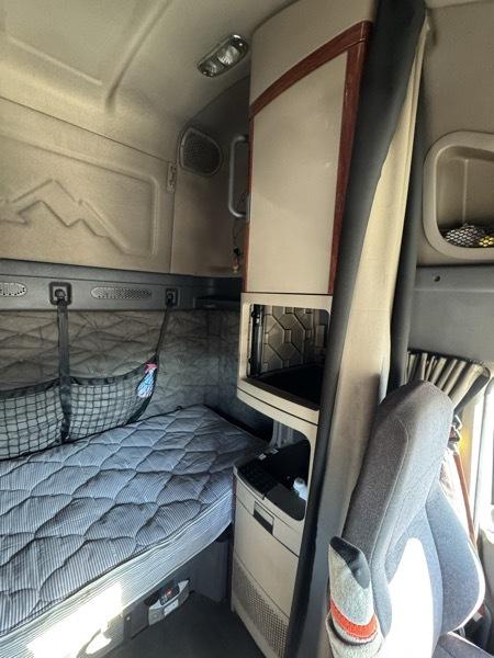 Freightliner CA 113  2017