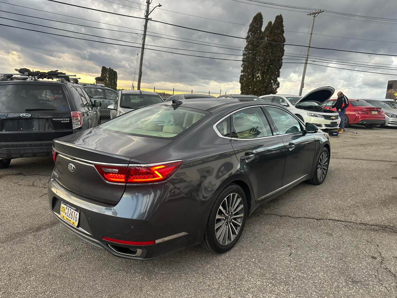 Kia Cadenza Limited 2017