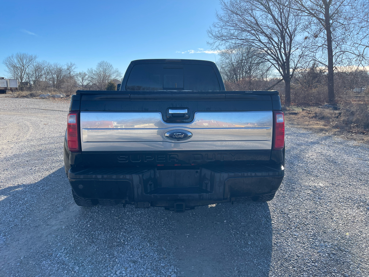 Ford F-450 SD Platinum Crew Cab DRW 4WD 2016