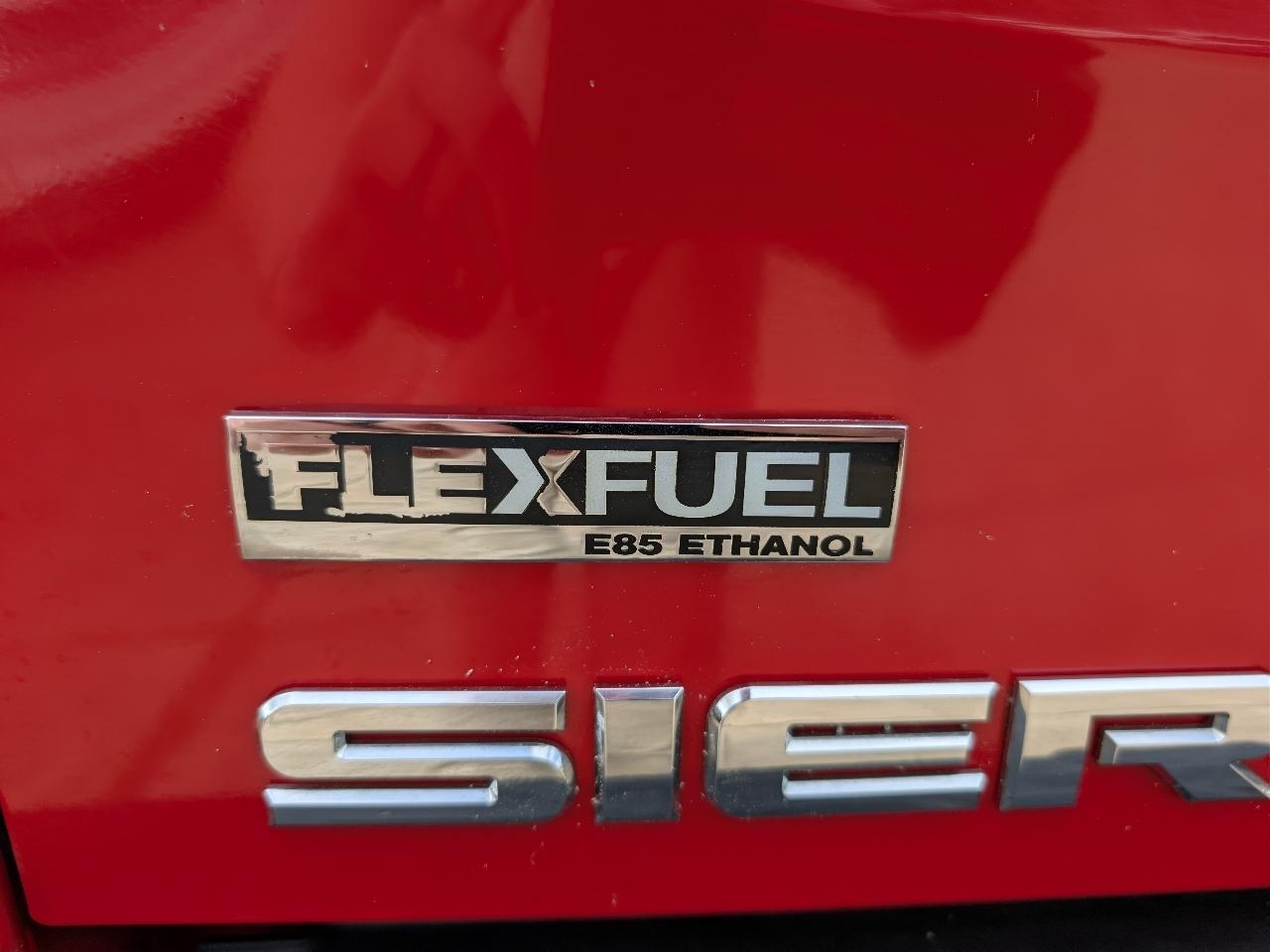 GMC Sierra 1500 4WD Reg Cab 119.0" SLE1 2007