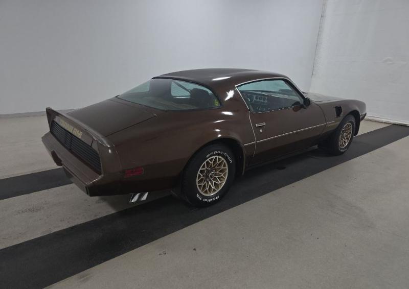 Pontiac Firebird Trans Am  1979