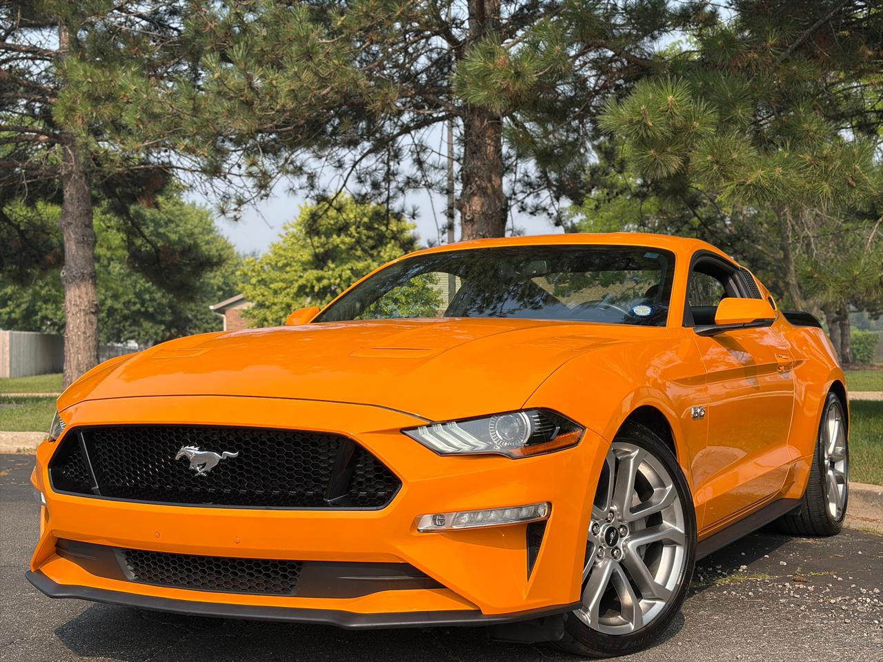 2019 Ford Mustang GT Fastback