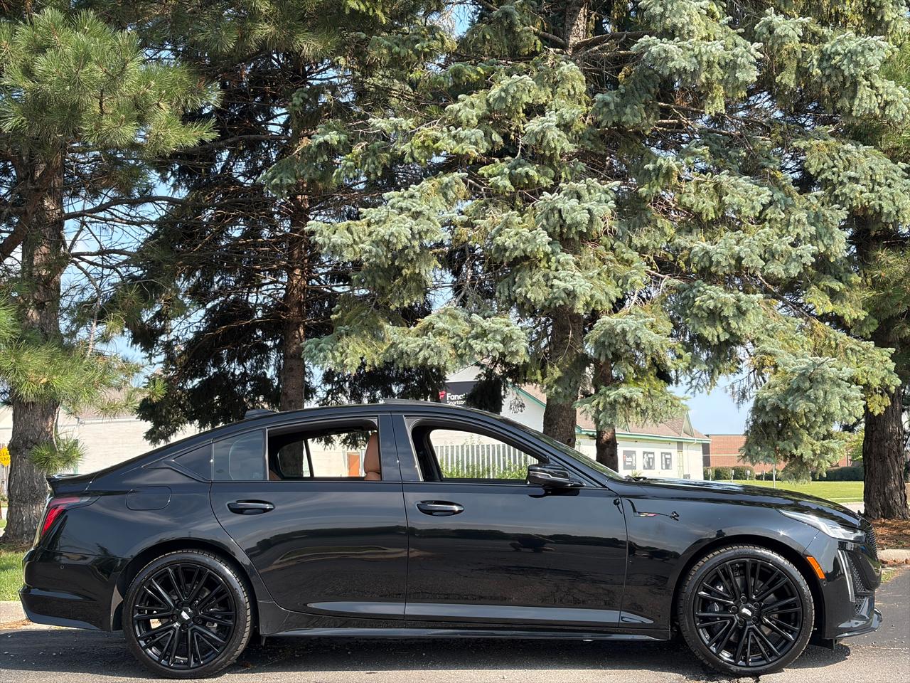 Cadillac CT5-V 4dr Sdn 2022