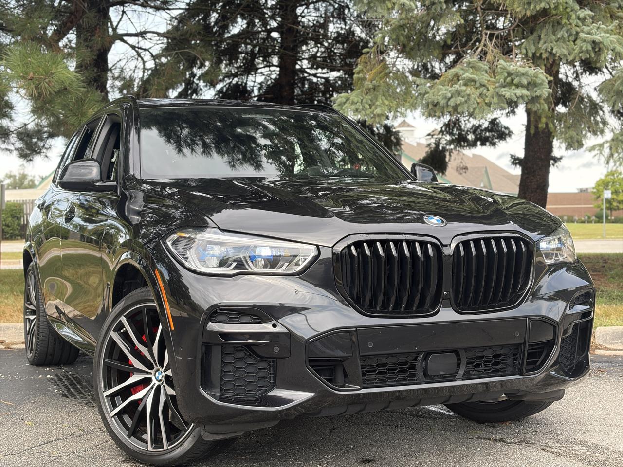 BMW X5 M50i Sports Activity Vehicle 2023