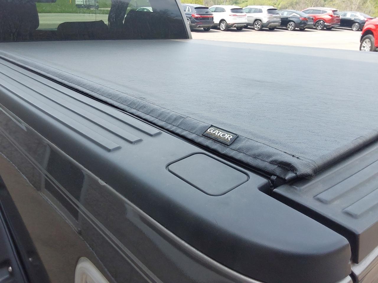 Ford F-150 2WD Reg Cab 126" XLT 2013