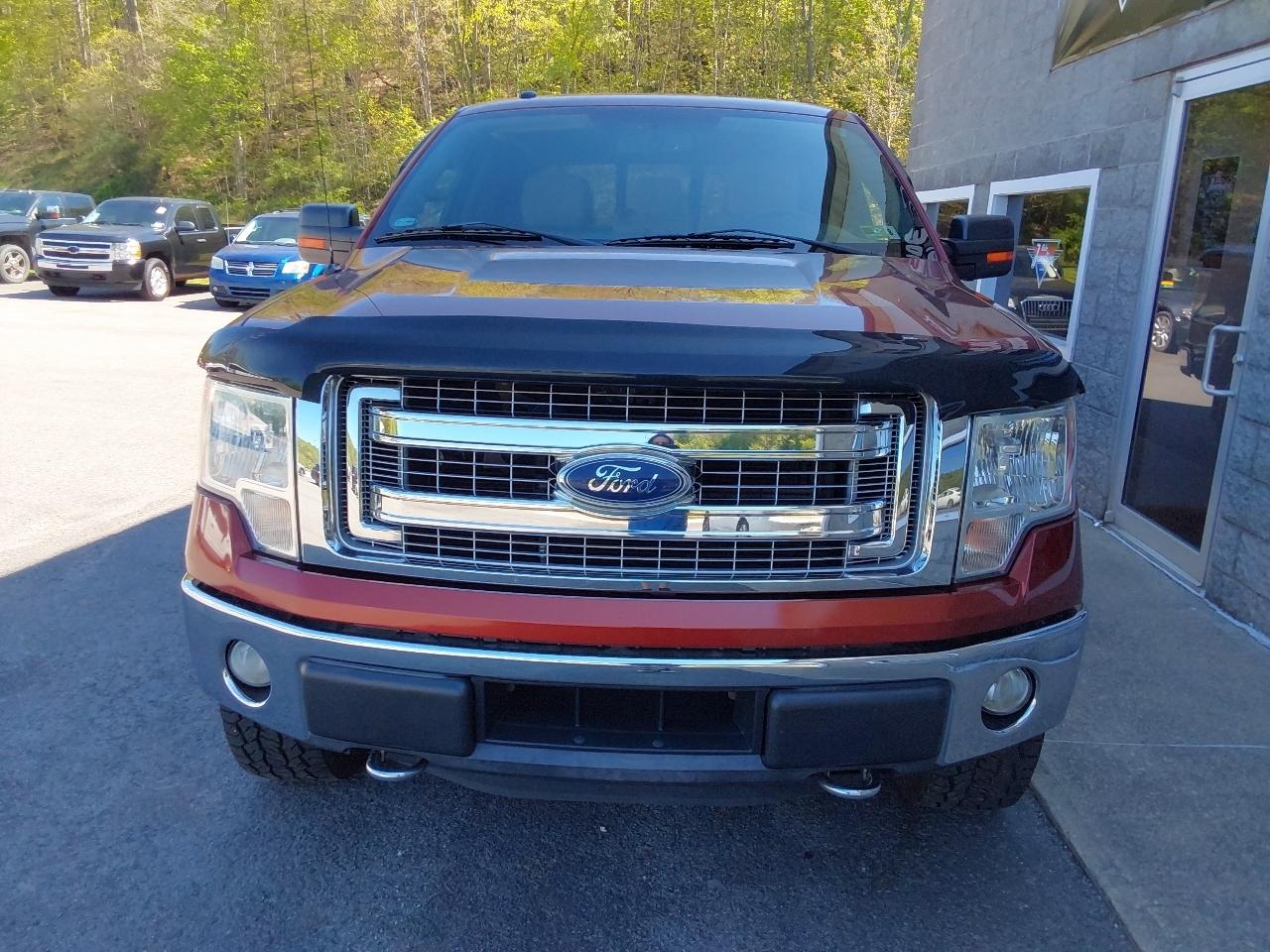 Ford F-150 4WD SuperCrew 145" XLT 2014