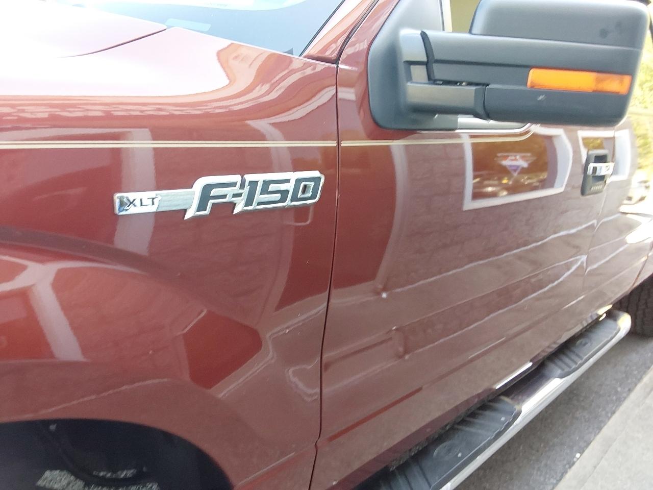 Ford F-150 4WD SuperCrew 145" XLT 2014