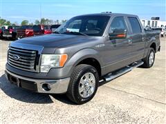 2010 Ford F-150 