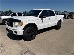 2010 Ford F-150 