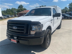 2010 Ford F-150 