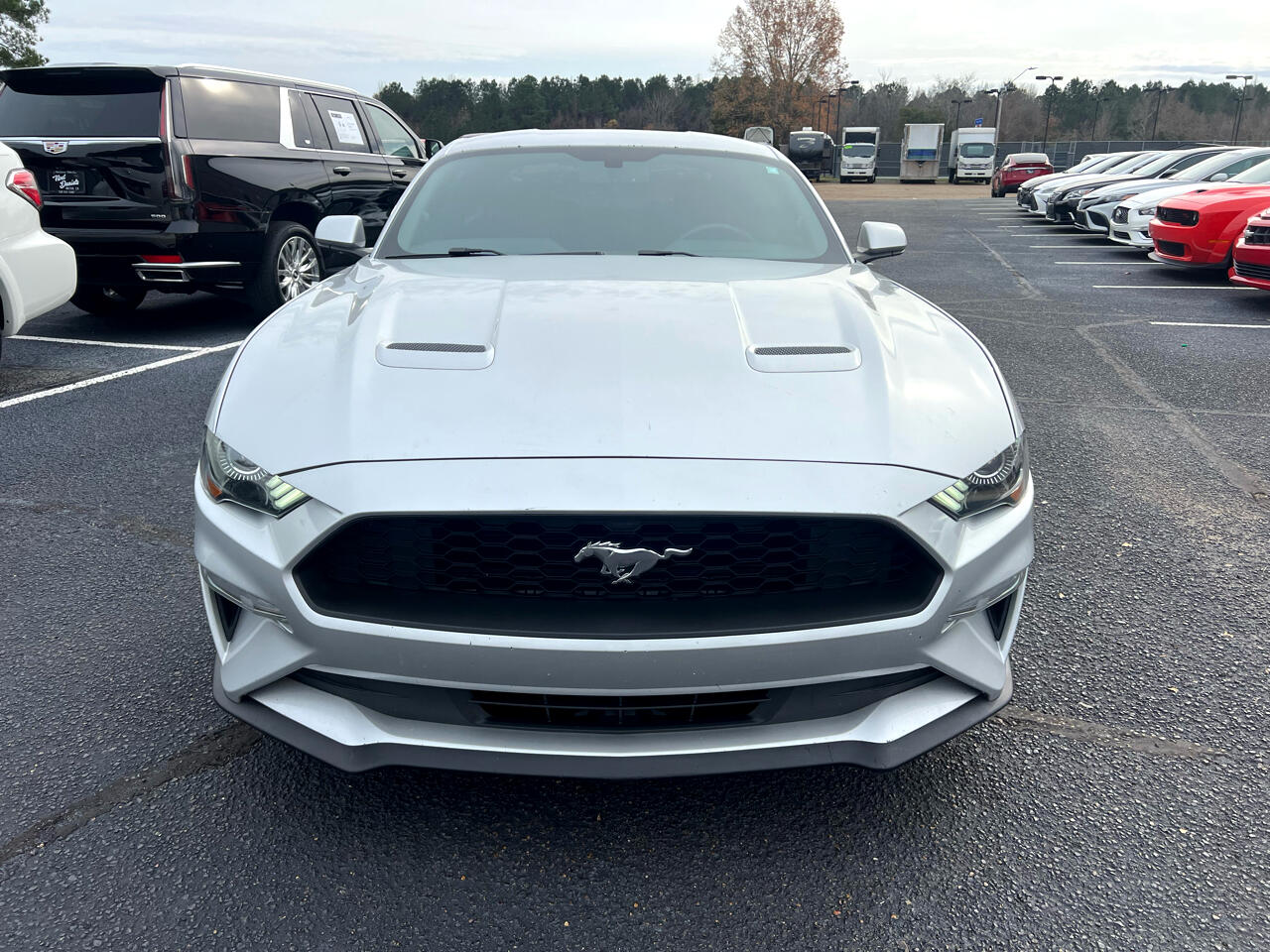 Ford Mustang EcoBoost Coupe 2019