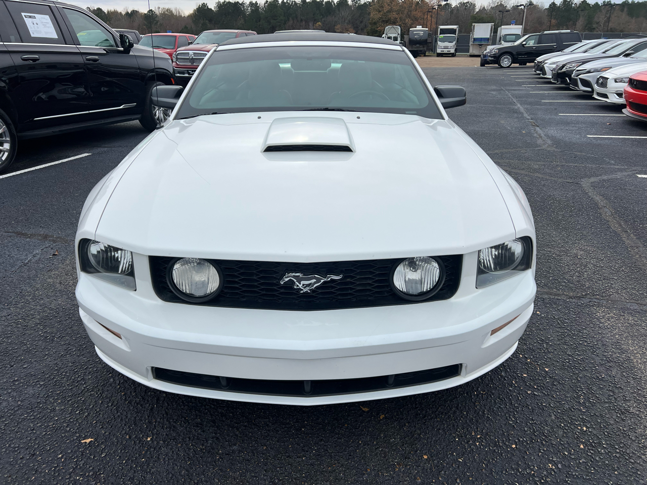 Ford Mustang GT Deluxe Convertible 2007