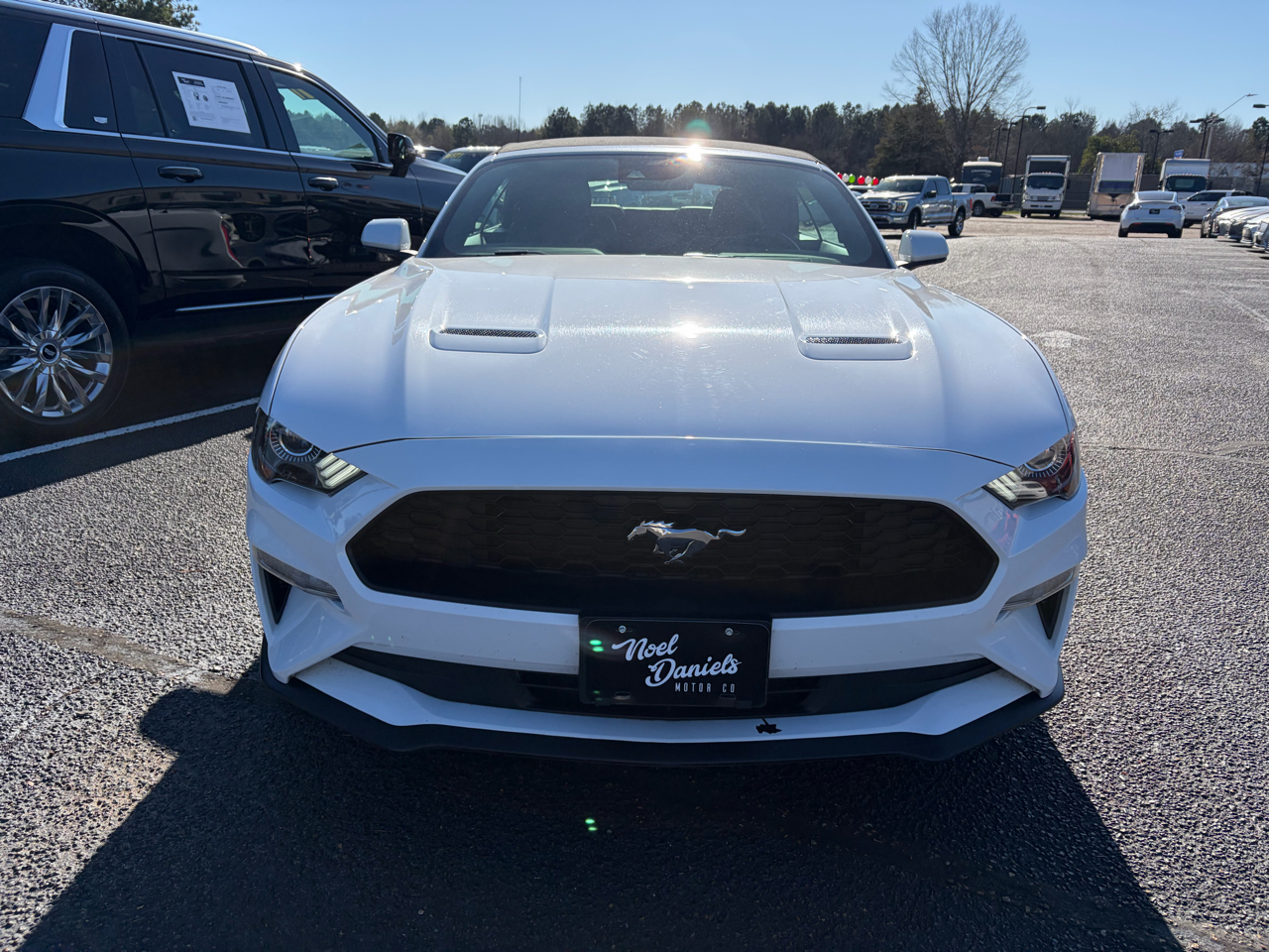 Ford Mustang EcoBoost Premium Convertible 2023