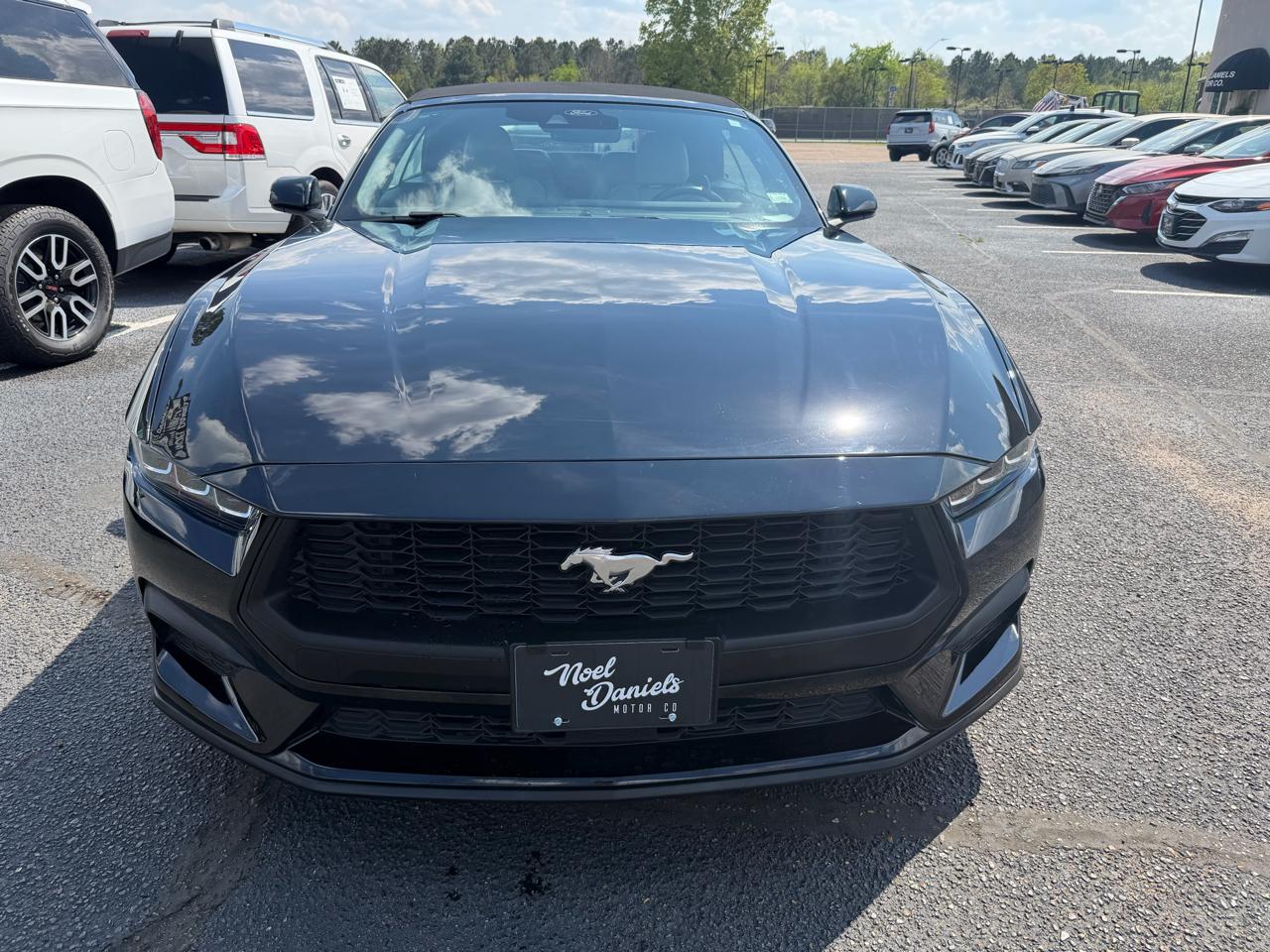 Ford Mustang EcoBoost Premium Convertible 2024