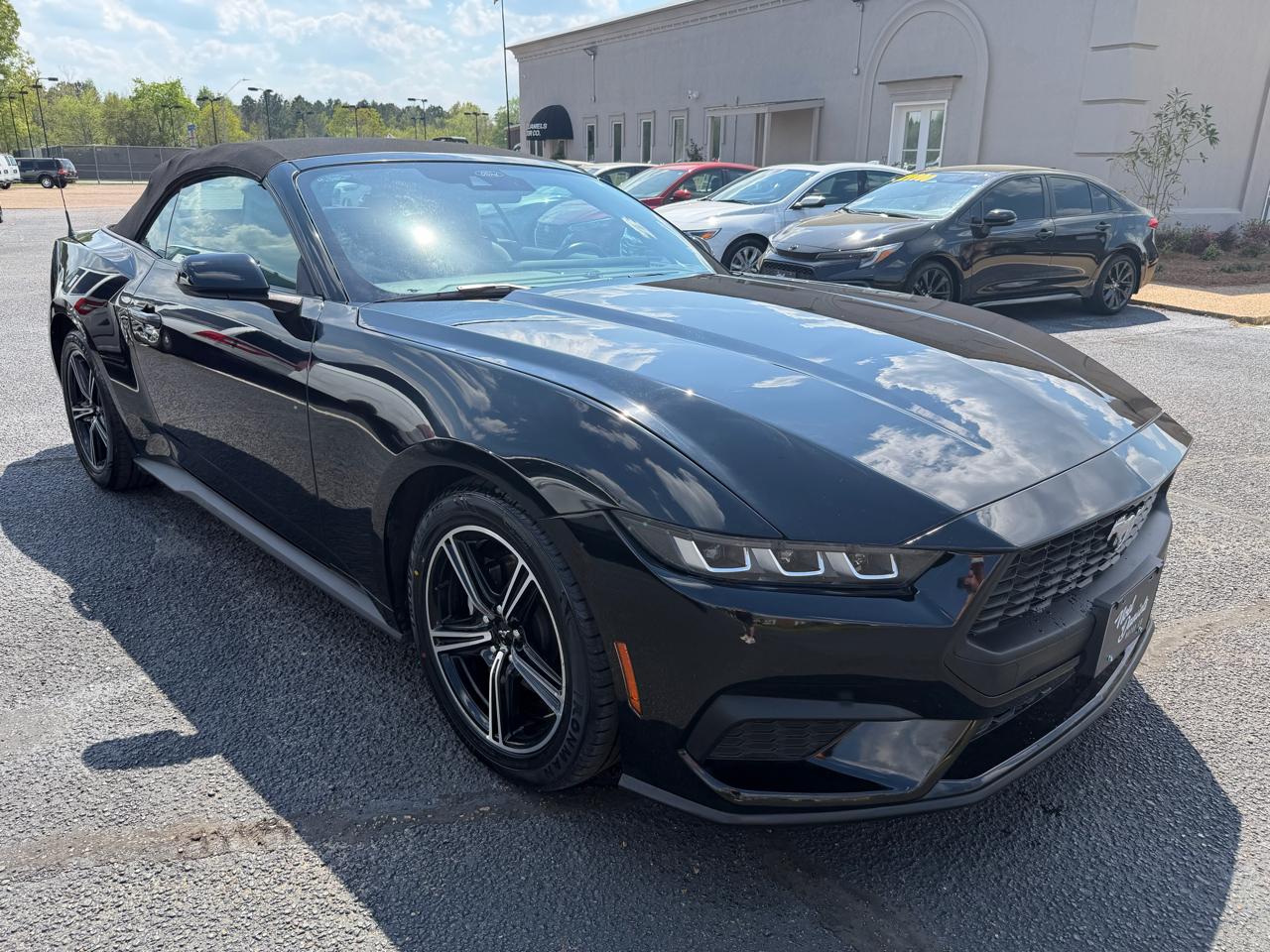 Ford Mustang EcoBoost Premium Convertible 2024