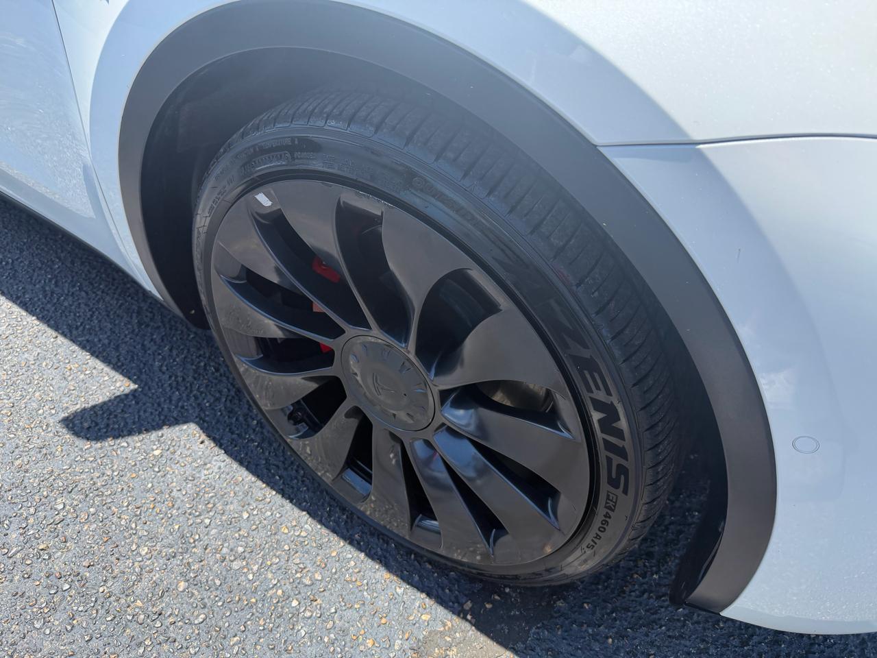 Tesla Model Y Performance 2022