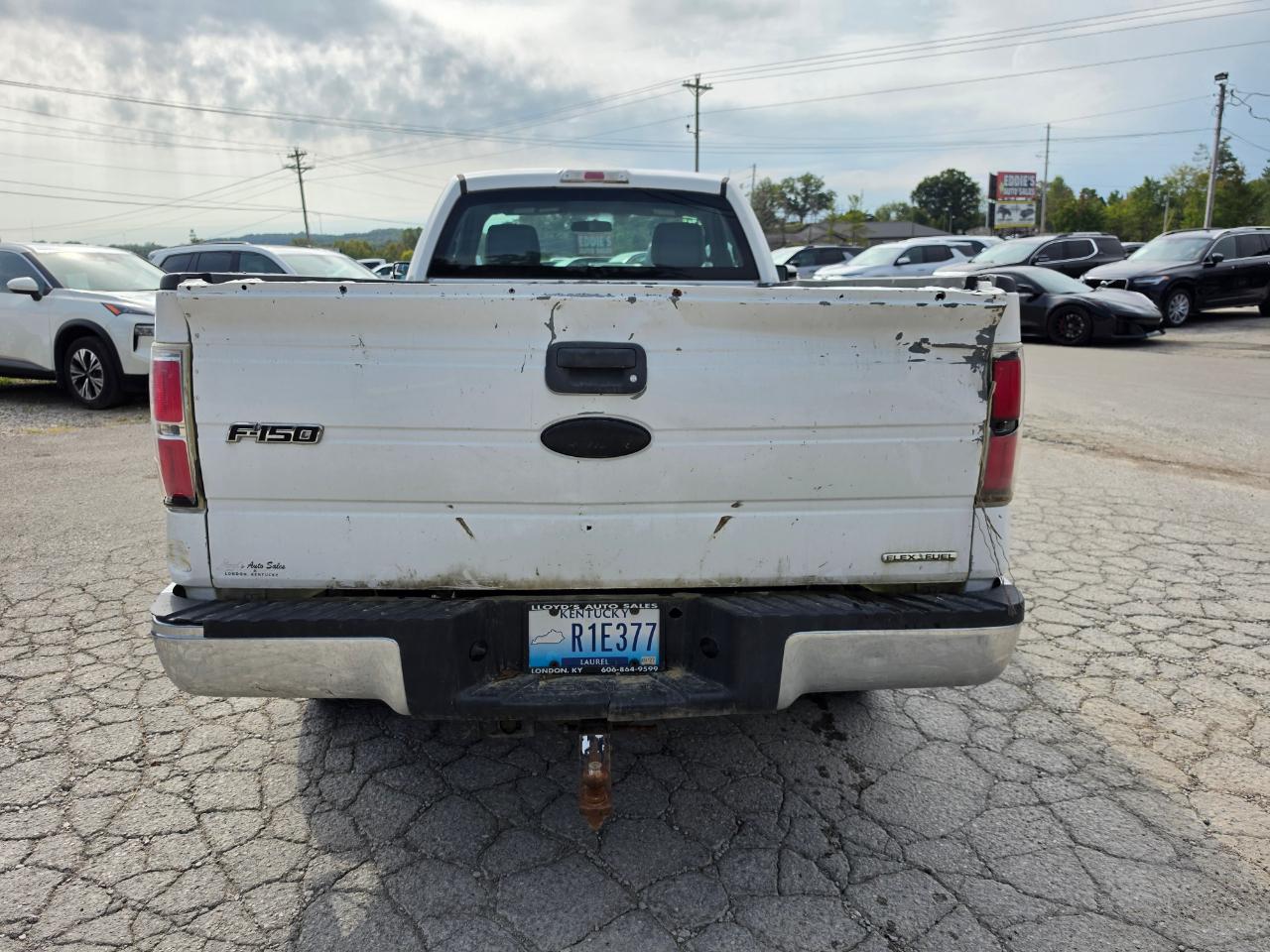 Ford F-150 2WD Reg Cab 126" XLT 2011