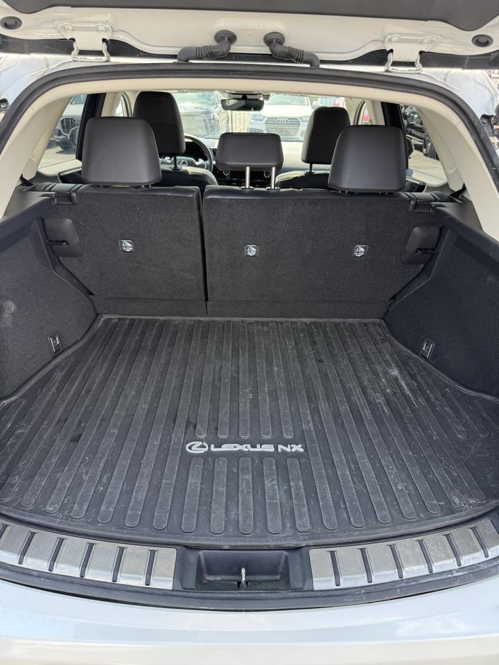 Lexus NX  2024