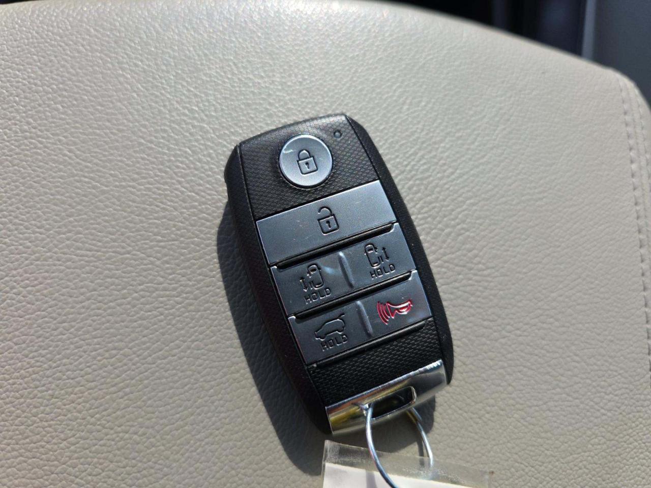 Kia Sedona 4dr Wgn SX-L 2016