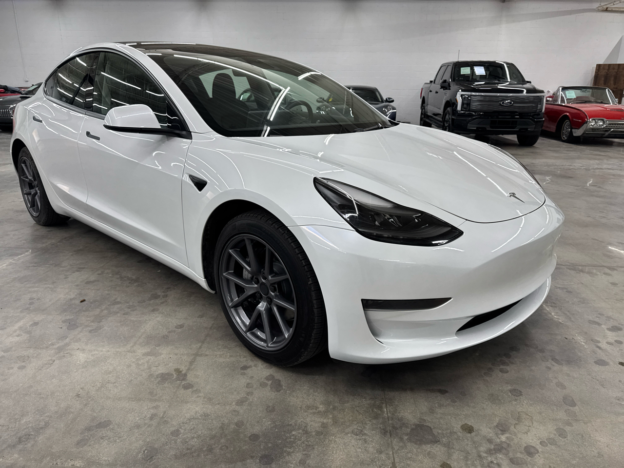 Tesla Model 3 Standard Range Plus RWD 2023 Tesla Model 3 Standard Range Plus RWD 2023