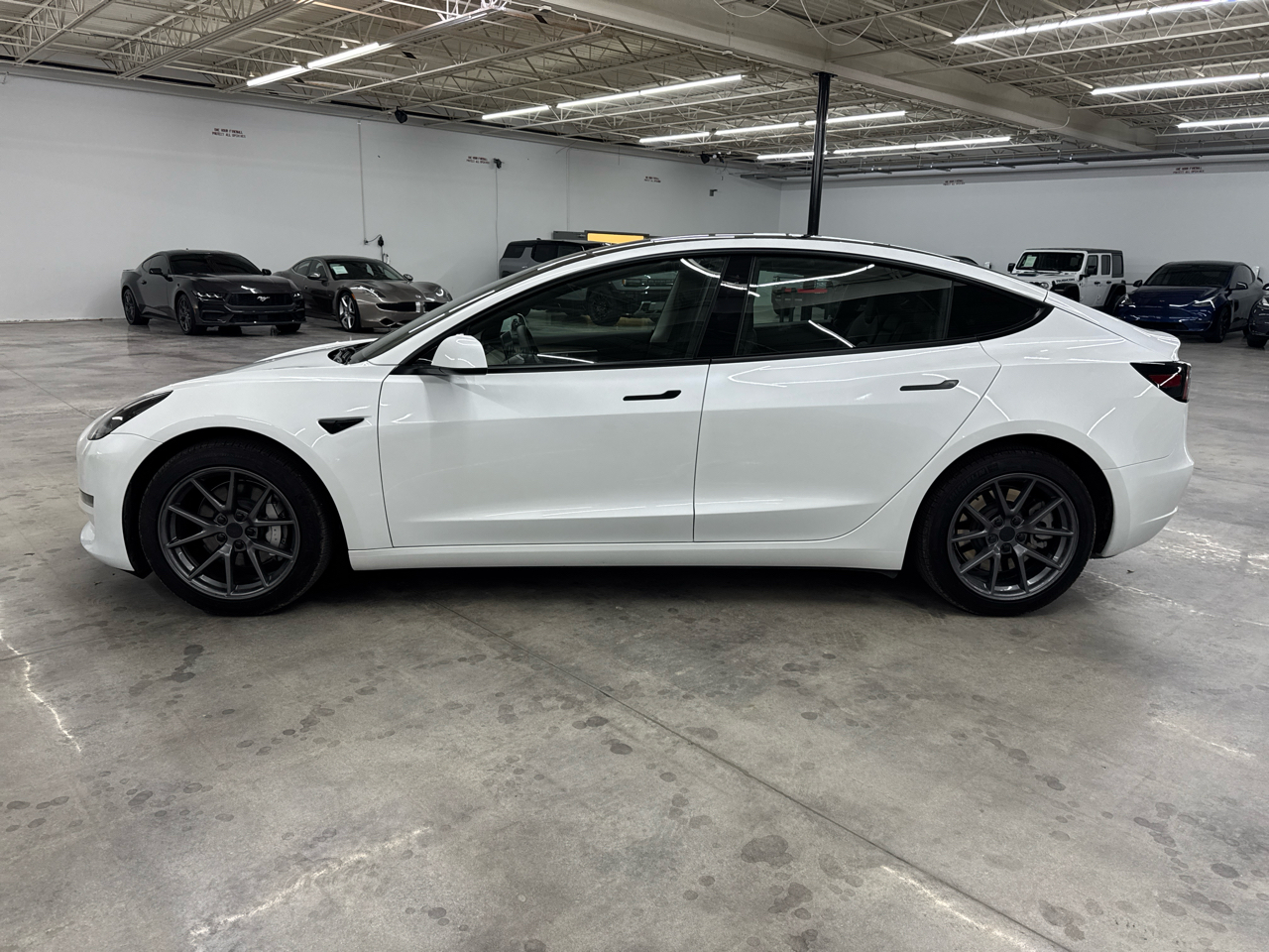 Tesla Model 3 Standard Range Plus RWD 2023 Tesla Model 3 Standard Range Plus RWD 2023