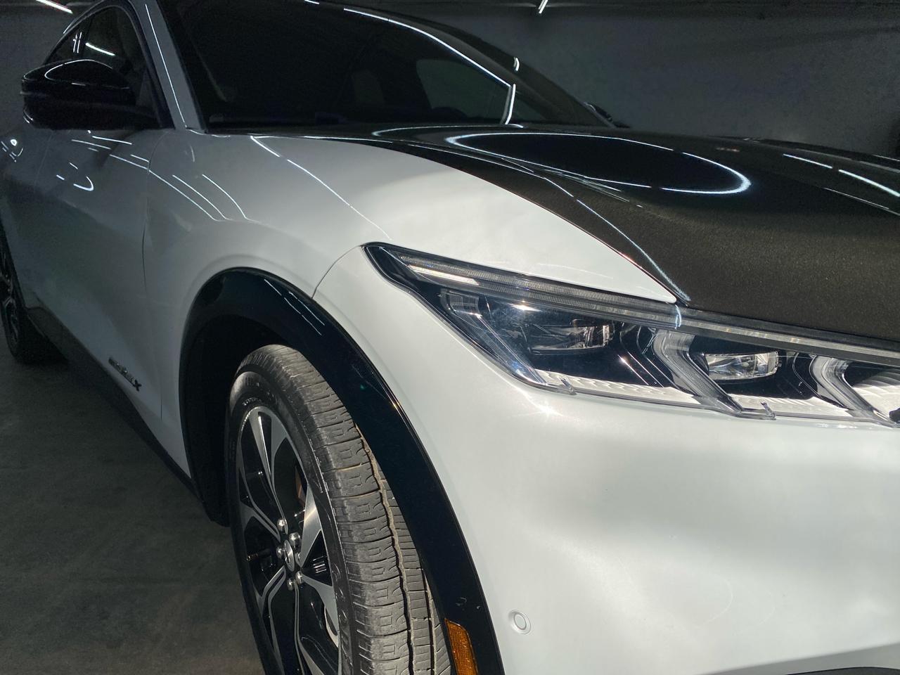 Ford Mustang Mach-E Premium RWD 2021