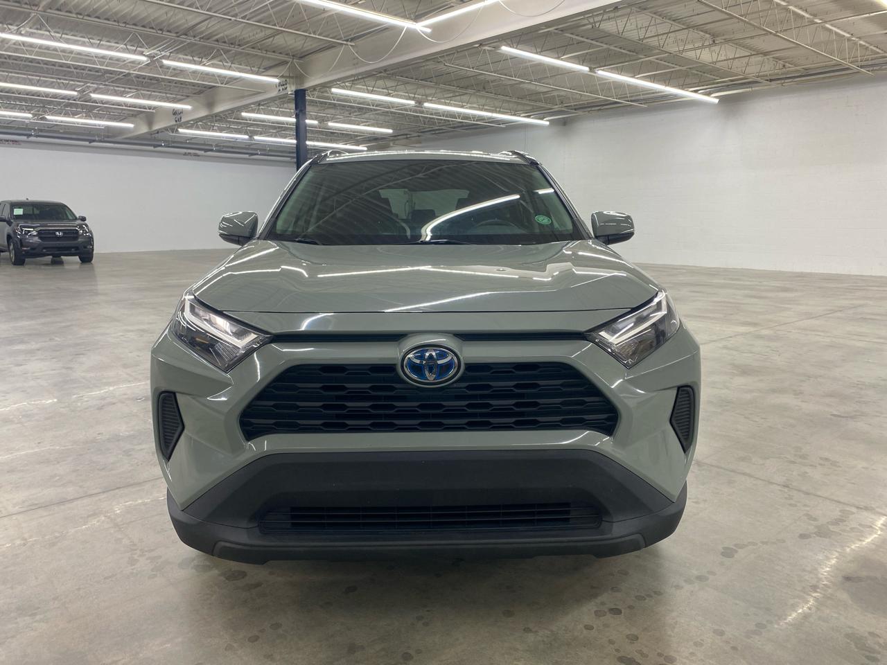 Toyota RAV4 Hybrid XLE AWD (Natl) 2023