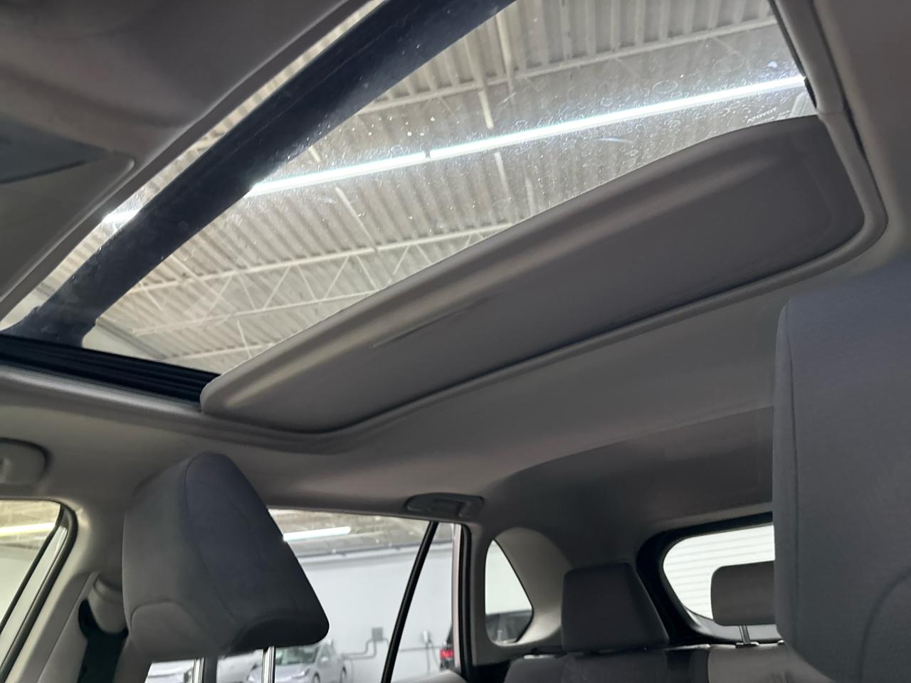 Toyota RAV4 XLE AWD (Natl) 2020