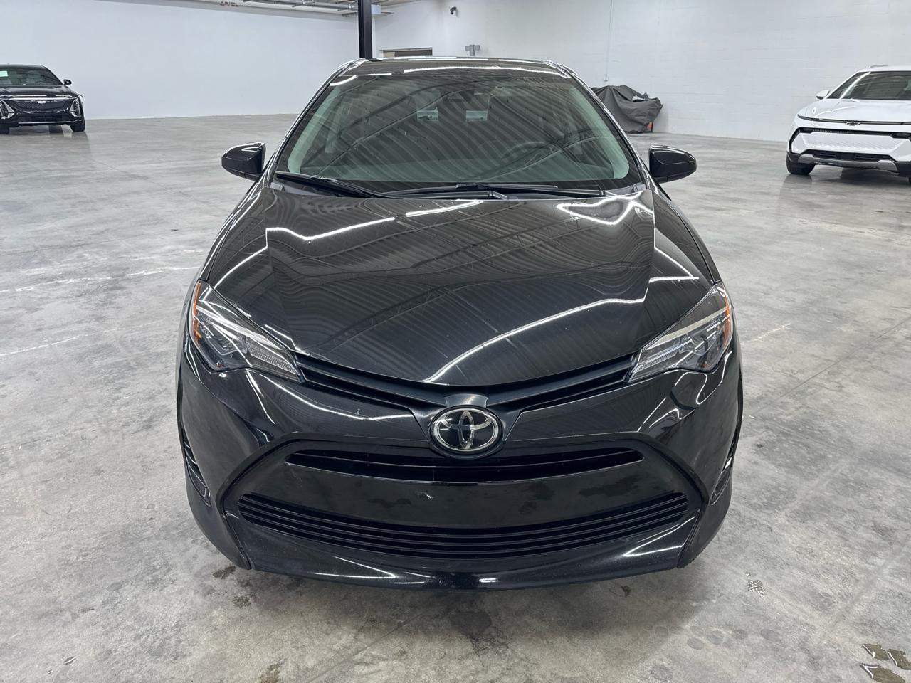 Toyota Corolla XLE CVT (Natl) 2019