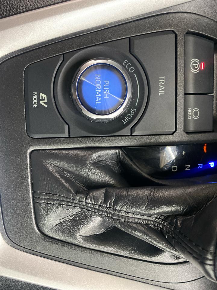 Toyota RAV4 Hybrid XSE AWD (Natl) 2022