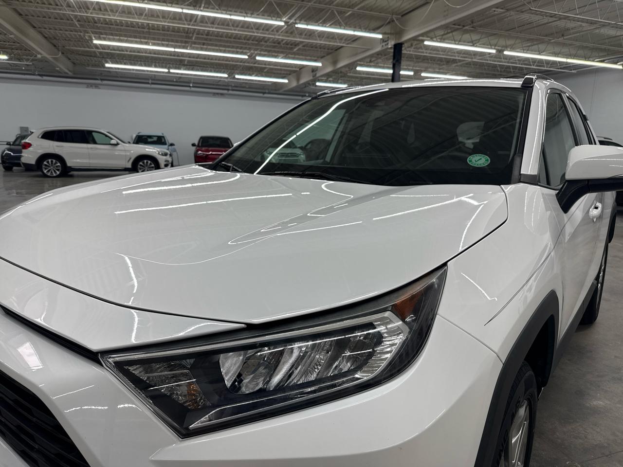 Toyota RAV4 XLE Premium FWD (Natl) 2020