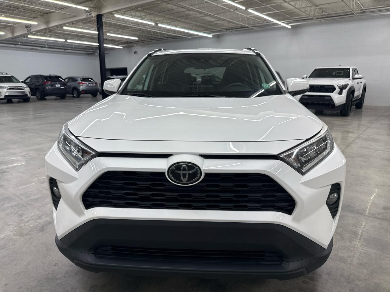 Toyota RAV4 XLE Premium FWD (Natl) 2020