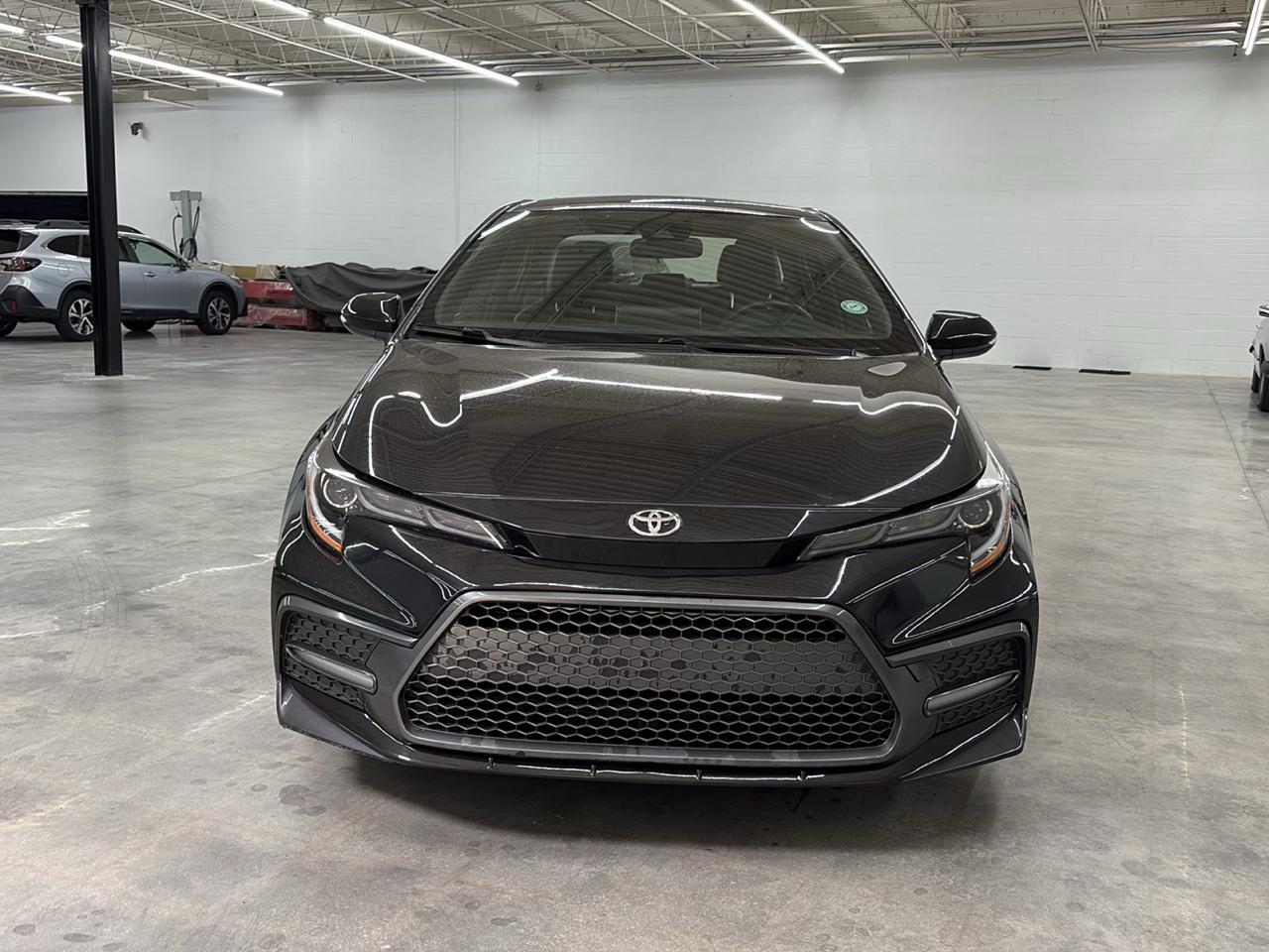 Toyota Corolla XSE CVT (Natl) 2020