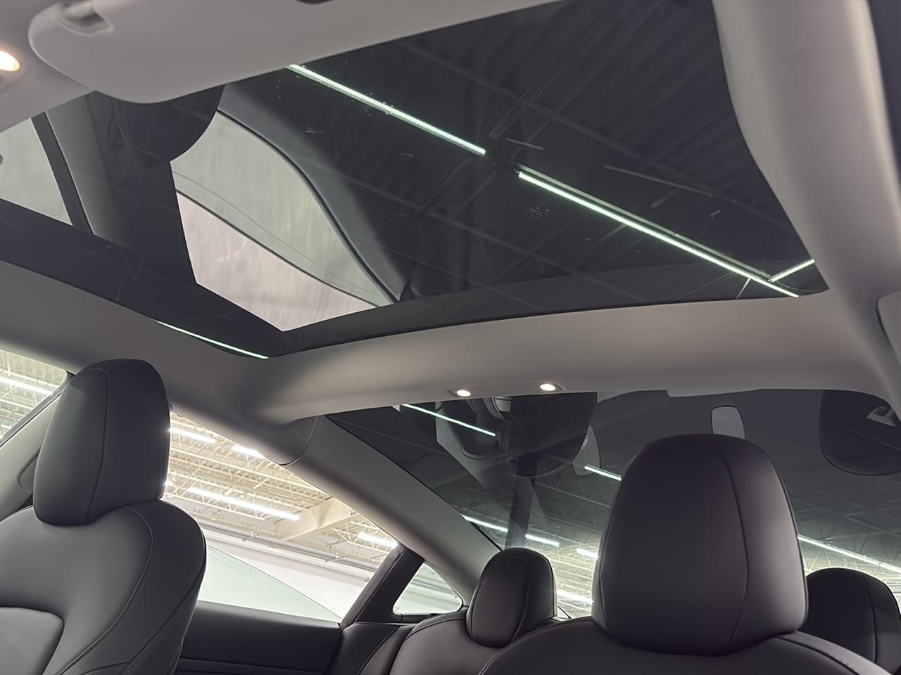 Tesla Model 3 Standard Range Plus RWD 2021