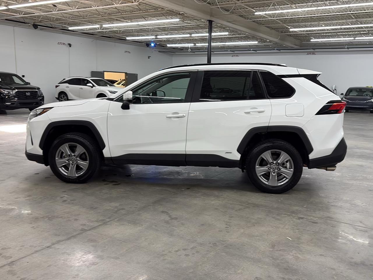 Toyota RAV4 Hybrid XLE AWD (Natl) 2023