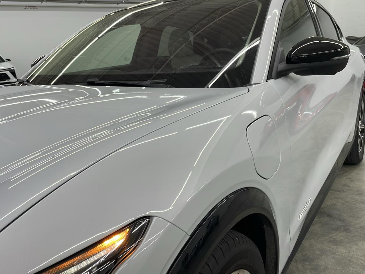 Ford Mustang Mach-E Premium RWD 2021