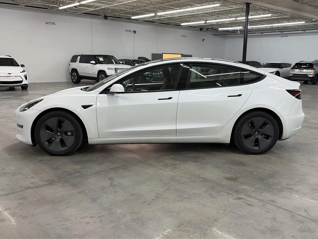 Tesla Model 3 Long Range AWD 2023