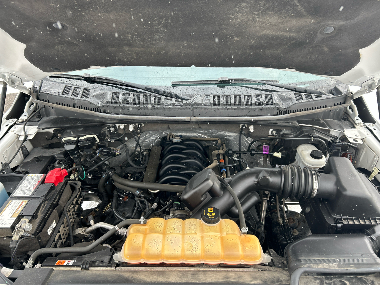 Ford F-150 4WD SuperCrew 145" XL 2017