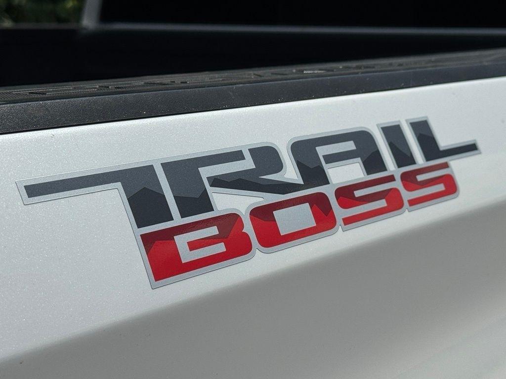 Chevrolet Silverado 1500  2019