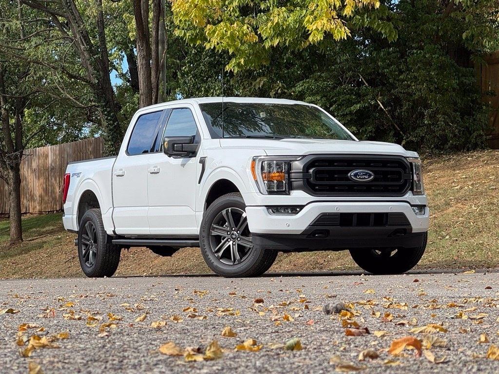 Ford F-150 photo 2