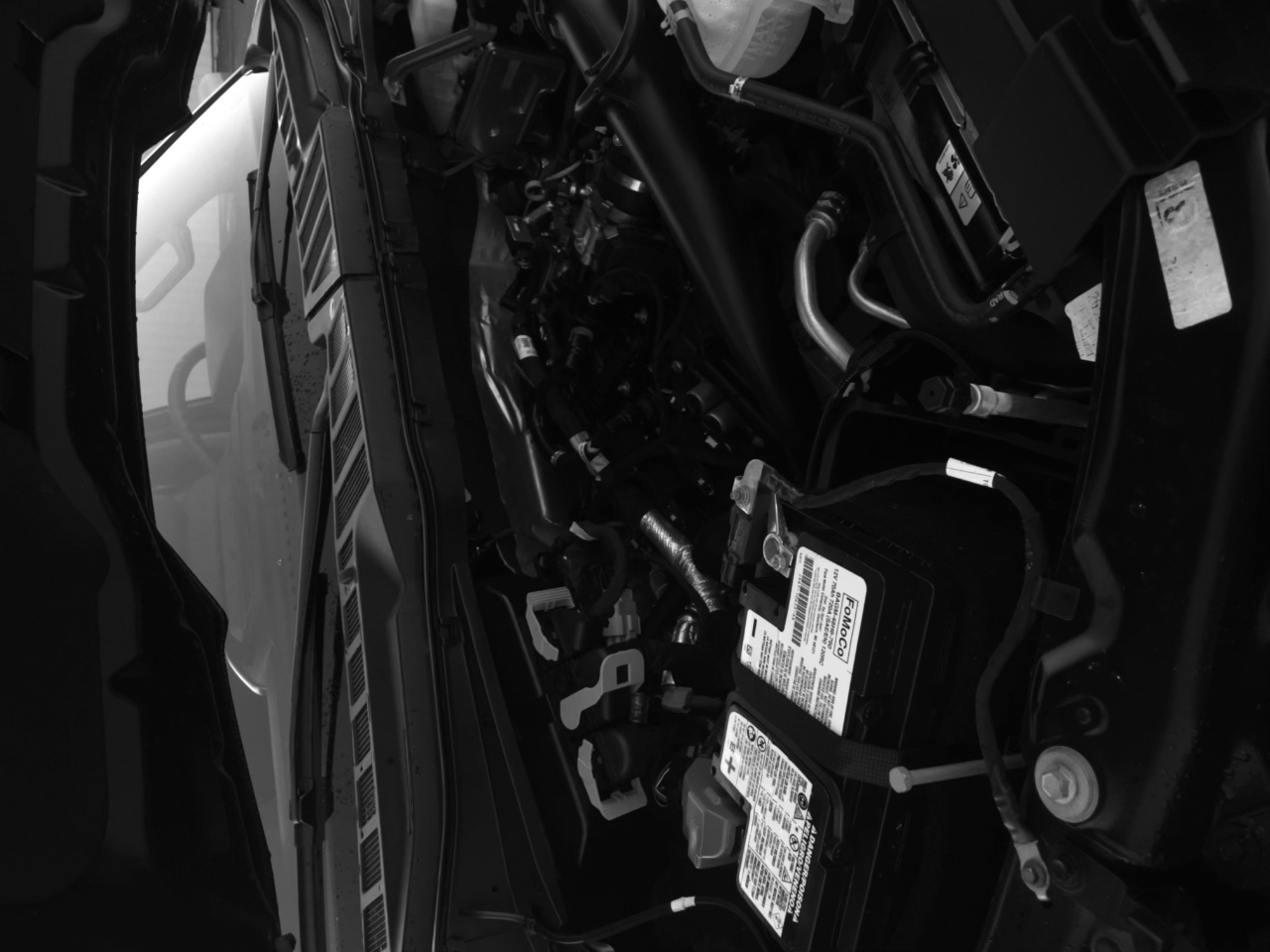 Ford F-150 XLT 4WD SuperCrew 5.5' Box 2023