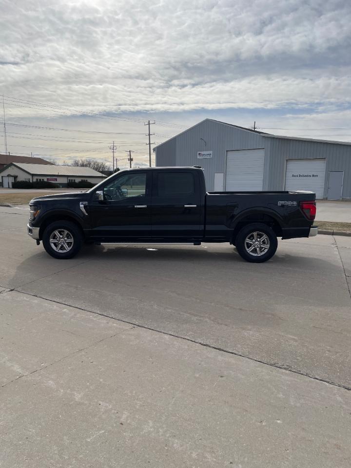 Ford F-150 XLT 4WD SuperCrew 6.5' Box 2024