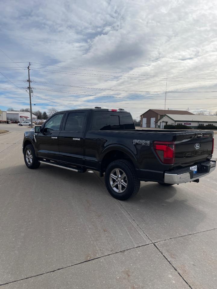 Ford F-150 XLT 4WD SuperCrew 6.5' Box 2024