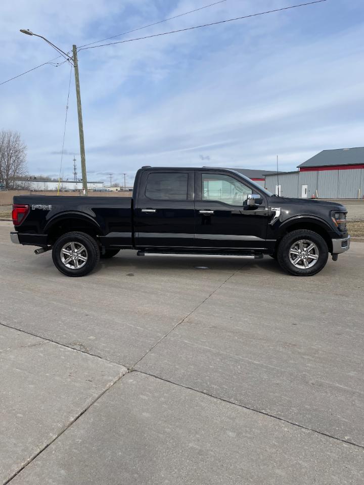 Ford F-150 XLT 4WD SuperCrew 6.5' Box 2024