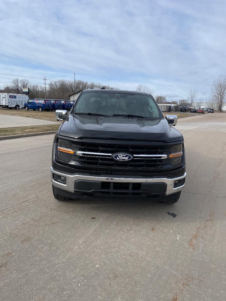 Ford F-150 XLT 4WD SuperCrew 6.5' Box 2024