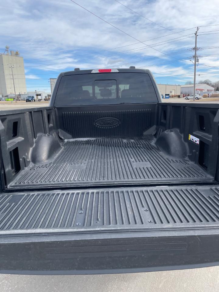 Ford F-150 XLT 4WD SuperCrew 6.5' Box 2024